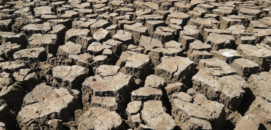 Water Scarcity: A Growing Global Challenge