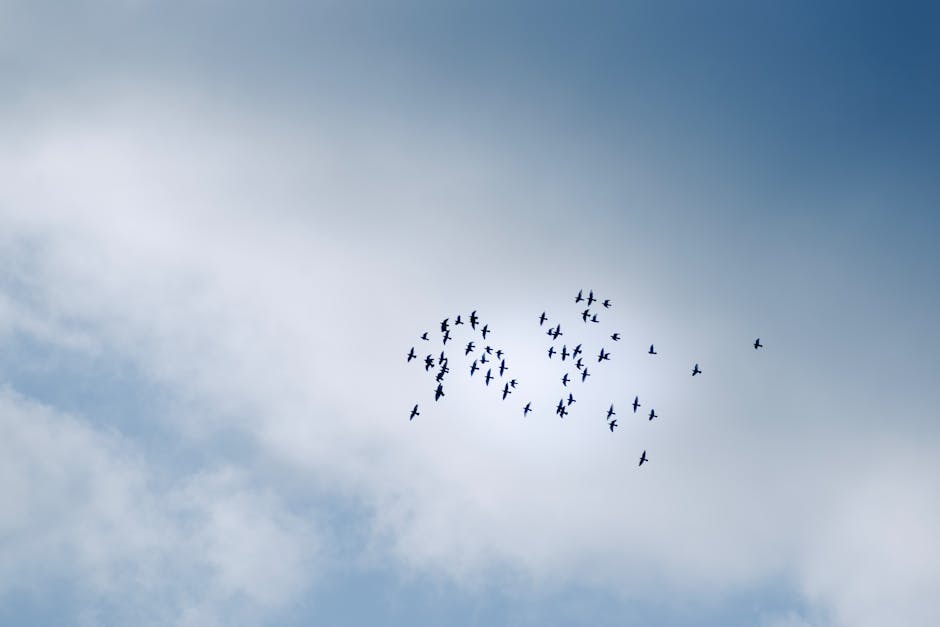 Migration in the Modern World: Economic Impact and Policy Debate